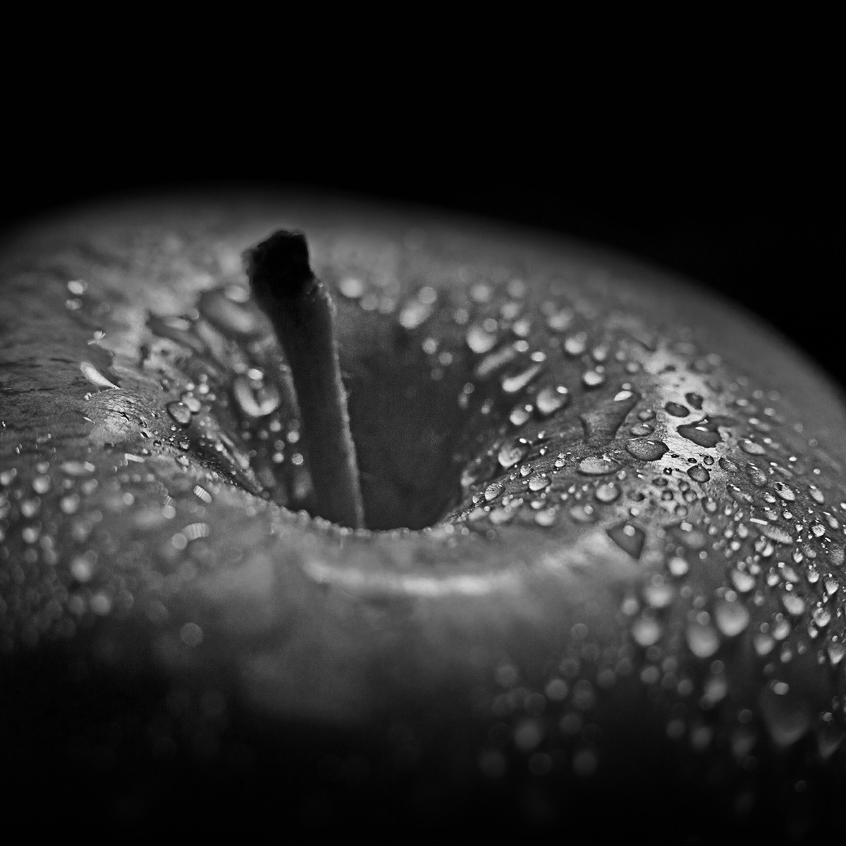 Food / Alimentos