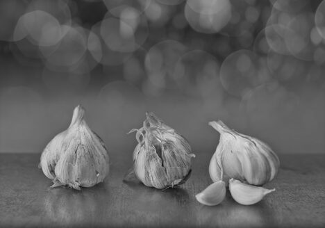 Food / Alimentos