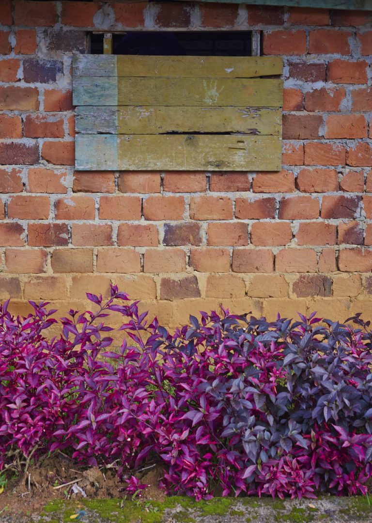 Mitu Colors / Colores de Mitú