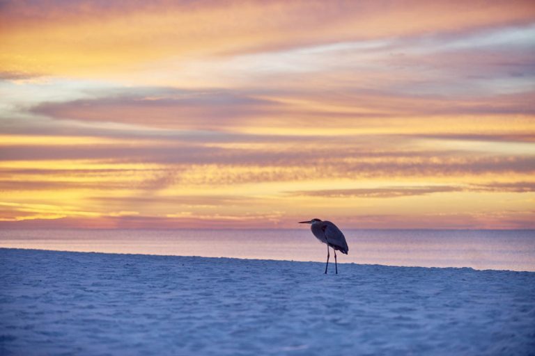 Sunrise Emerald Coast / Amanecer Emerald Coast