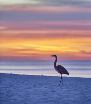 Sunrise Emerald Coast / Amanecer Emerald Coast
