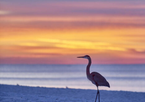 Sunrise Emerald Coast / Amanecer Emerald Coast
