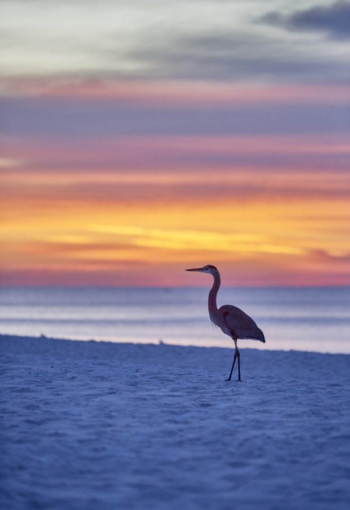 Sunrise Emerald Coast / Amanecer Emerald Coast
