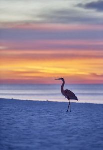 Fort Walton Beach, USA / Fort Walton Beach