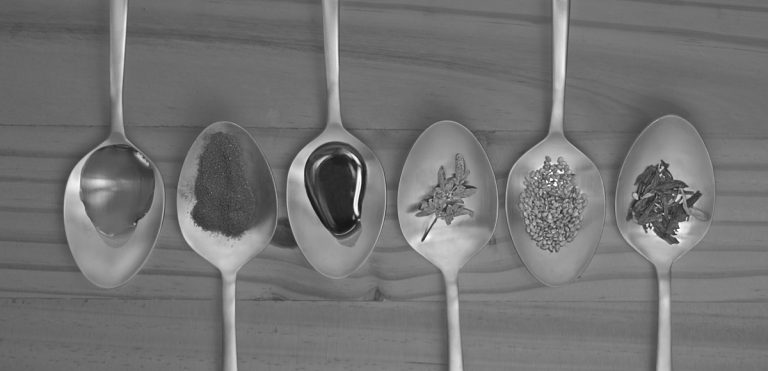 Food / Alimentos