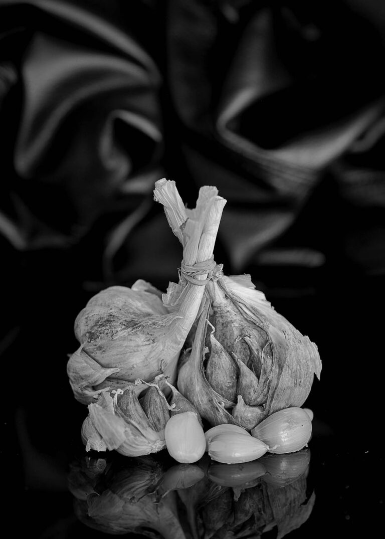 Essay Quarantine / Ensayo Cuarentena