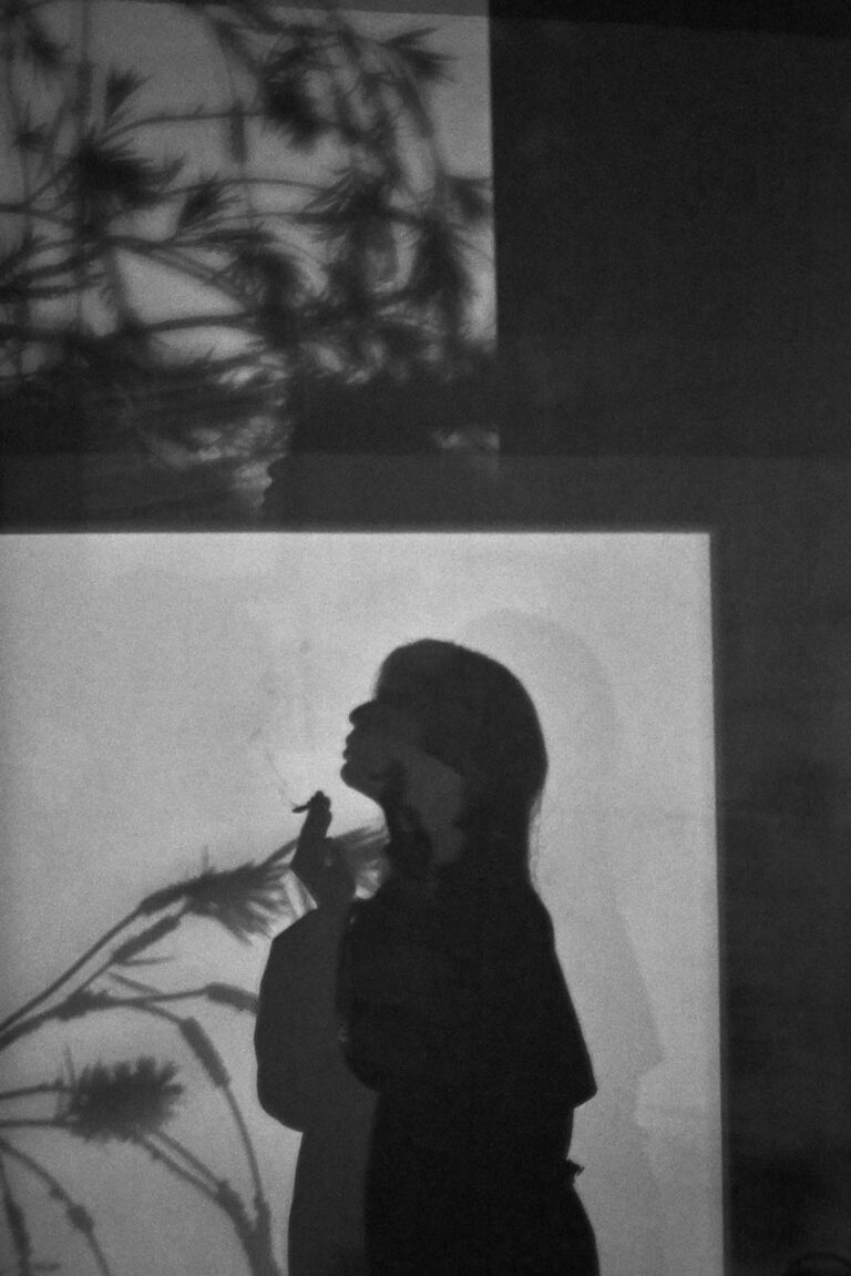 Essay Quarantine / Ensayo Cuarentena