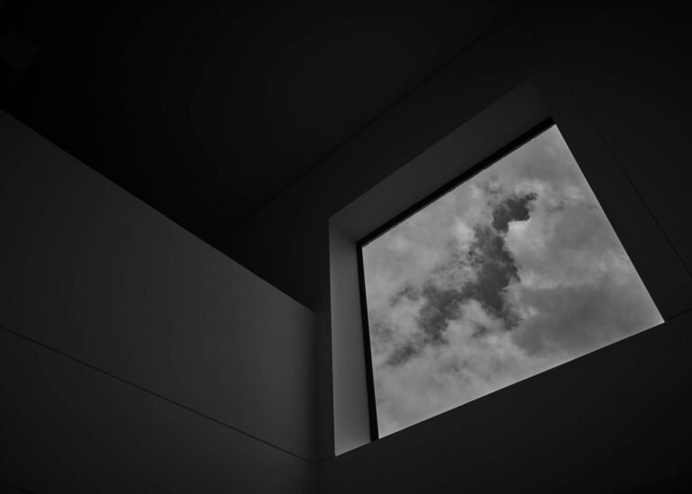 Essay Quarantine / Ensayo Cuarentena