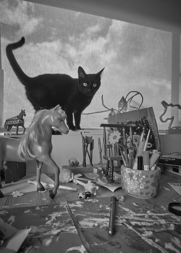 Essay Quarantine / Ensayo Cuarentena