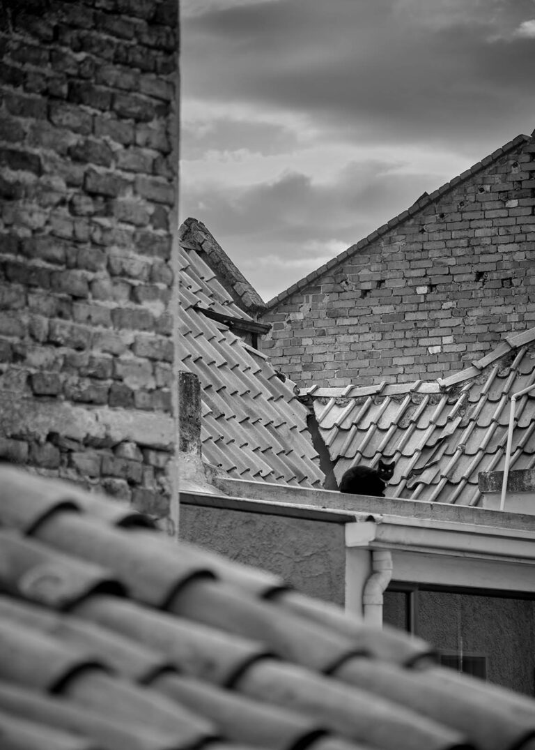 Essay Quarantine / Ensayo Cuarentena