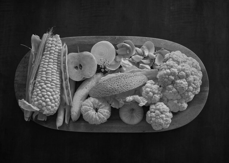 Essay Quarantine / Ensayo Cuarentena